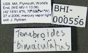 Media type: image;   Entomology 612592 Aspect: labels